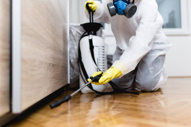 Best Rat Extermination Near Me  in Bucyrus, OH
