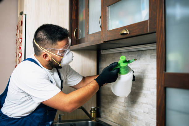 Best Bed Bug Extermination  in Bucyrus, OH