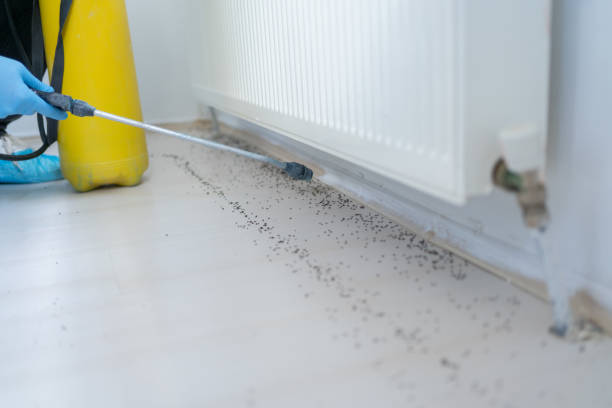 Best Termite Control Services  in Bucyrus, OH