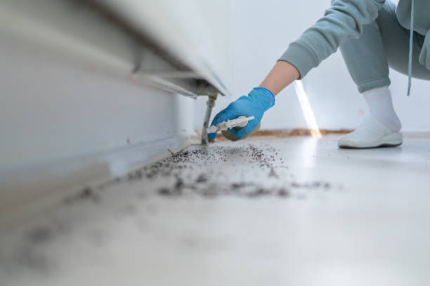Best Pest Prevention Services  in Bucyrus, OH